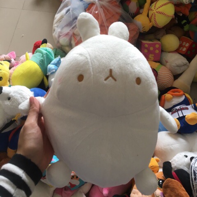 Gấu bông molang