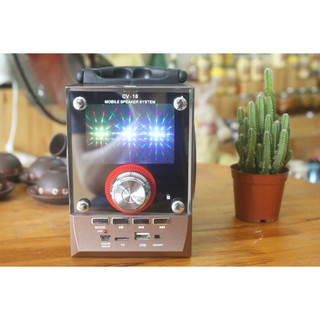 Loa Vision VSP CV-V18