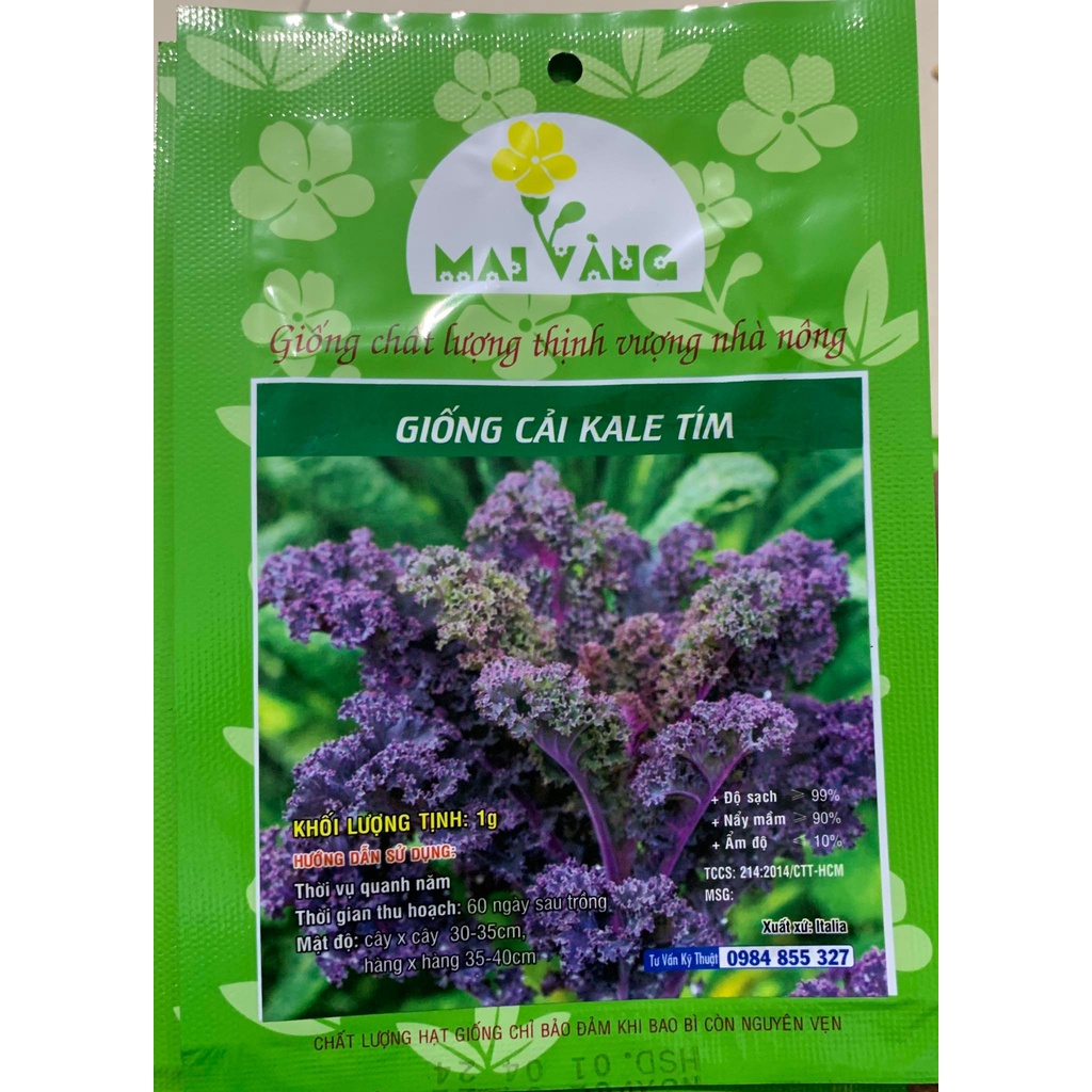Hạt giống Cải Kale tím 1g
