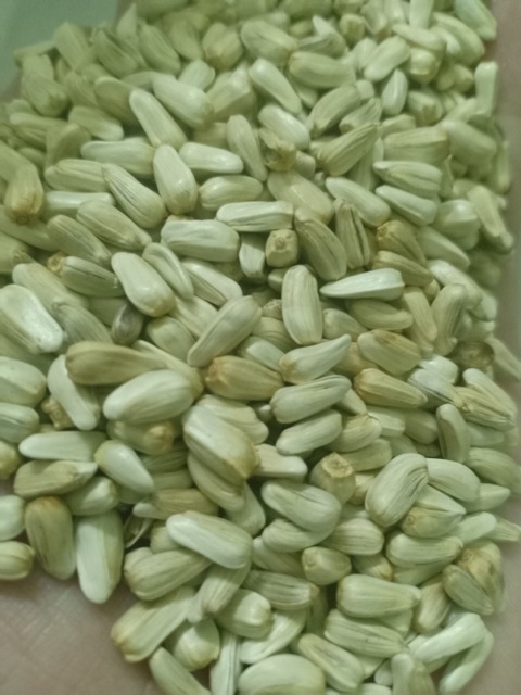 500g Hạt kham Argentina.