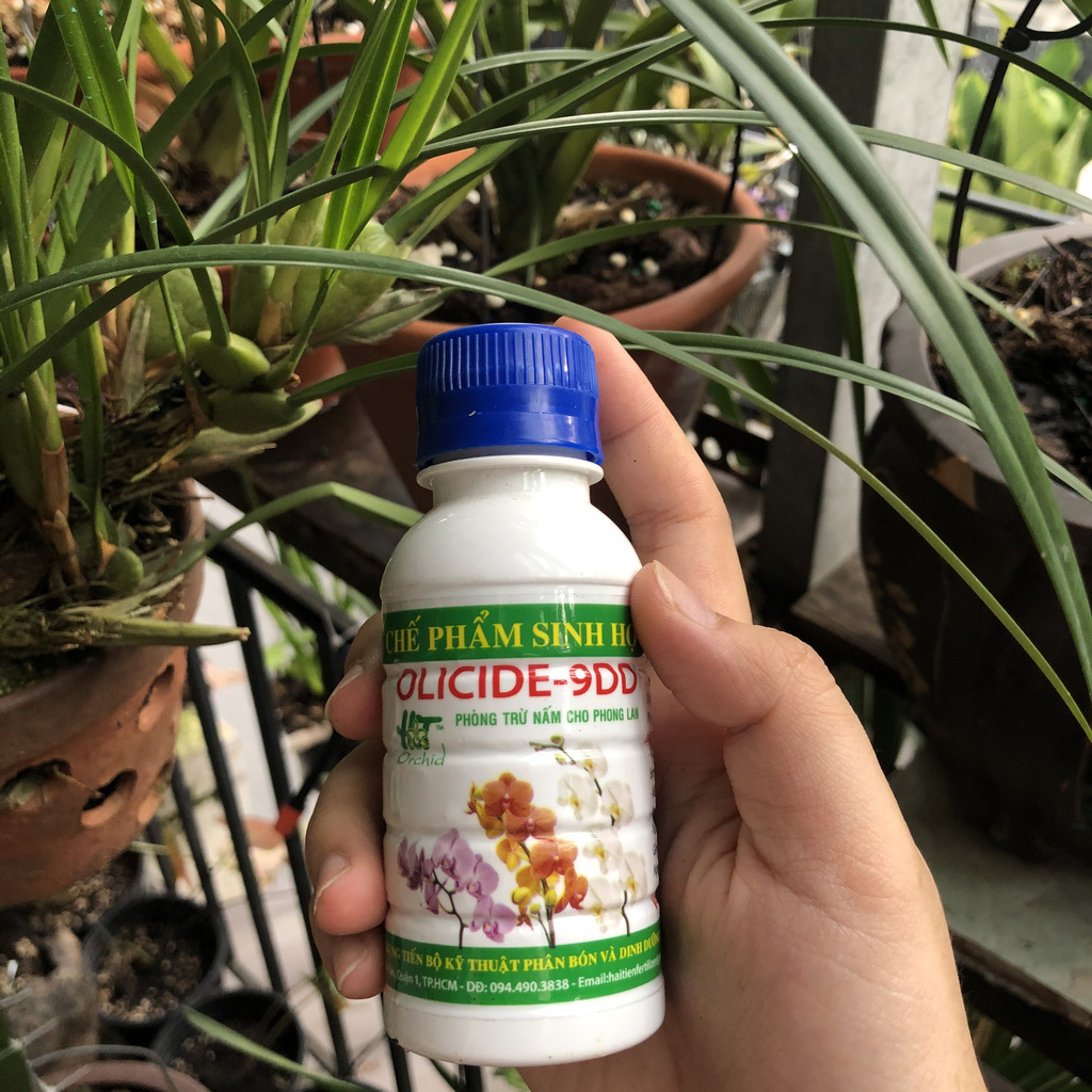 Chế phẩm OLICIDE - 9DD phòng trừ nấm bệnh cho phong lan -100ml