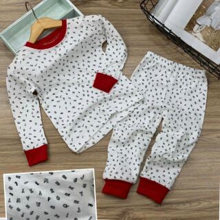 Combo 5 bộ cotton dành cho bé trai