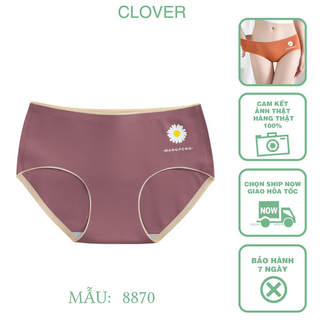 Quần Lót Nữ Cotton viền ren gân tăm kháng khuẩn hoạ tiết viền ren sexy điệu đà - Mẫu 8870