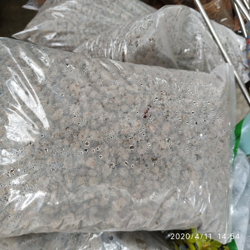 Đá bọt núi lửa Indo Pumice trồng lan, giữ ẩm tốt túi 1.0kg