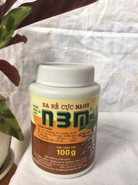 Kích rễ N3M