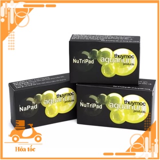 Nutripad thanh giá thể cho Cho ráy, bucep, dương xỉ - hồ thủy sinh