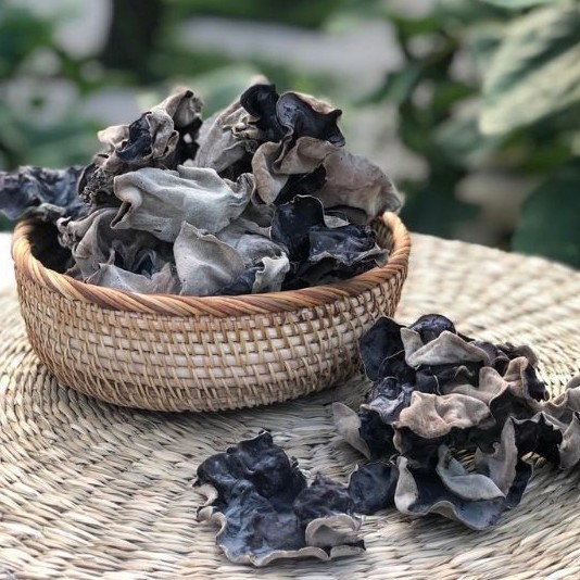 NẤM MÈO HỮU CƠ / MỘC NHĨ LOẠI 1