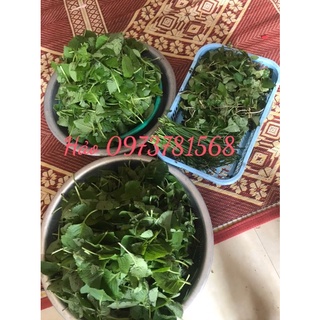 siro húng chanh