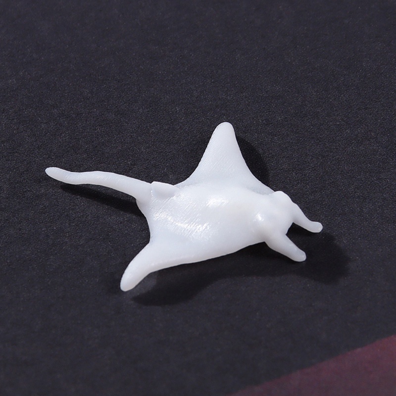 Mô Hình Động Vật Biển 3D Độc Đáo Sống Động