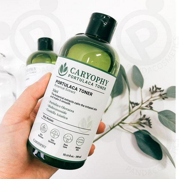 Combo Sữa rửa mặt Caryophy Portulaca Foam Cleanser 150ml và Nước hoa hồng Caryophy Portulaca Toner 300ml