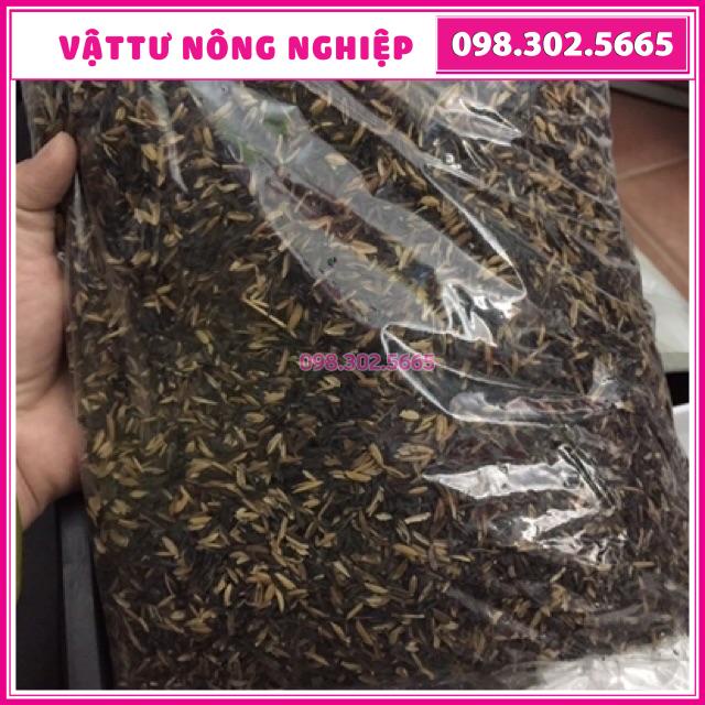 1kg trấu hun nguyên hạt giá thể trồng cây, lọc nước