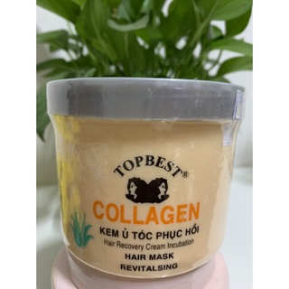 Kem ủ tóc phục hồi topbest collagen siêu mượt 500ML