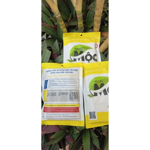 Mồi câu Mộc đủ màu