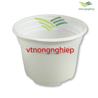 50 chậu nhựa trồng hoa CH-10.5x8 cm, Chậu nhựa trắng mm trồng sen đá, xương rồng