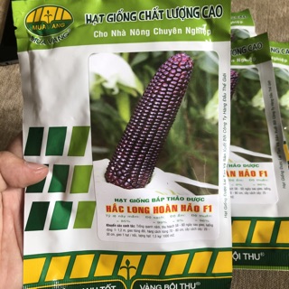 Hạt giống    Bắp tím (50g)