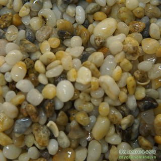 1kg sỏi biển trang trí tiểu cảnh chậu cây cảnh mini