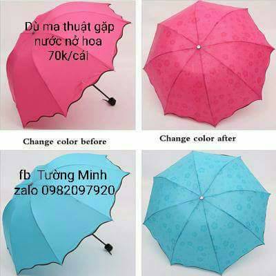 Dù nở hoa ma thuật