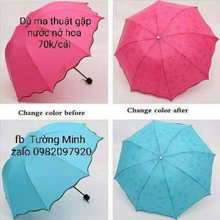 Dù nở hoa ma thuật
