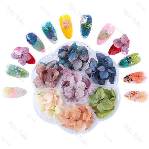 Hoa khô nail NGHI THẢO trang trí móng cánh to 7 màu