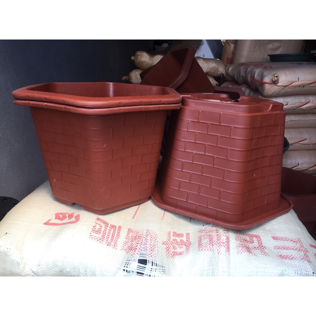 10 CHẬU NHỰA LỤC GIÁC MÃ #450 (DỊCH TRUYỀN CỨU CÂY, KÍCH RỄ MẦM CÂY, BẦU KHAY TÚI ƯƠM..)