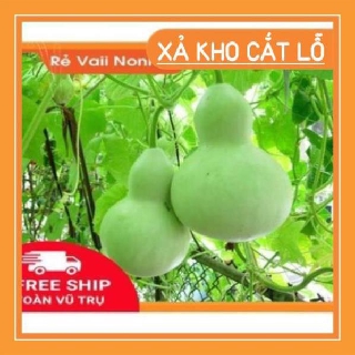 sale lớn chào đón khách hàng hạt giống  Bầu hồ lô siêu quả chất lượng cao
