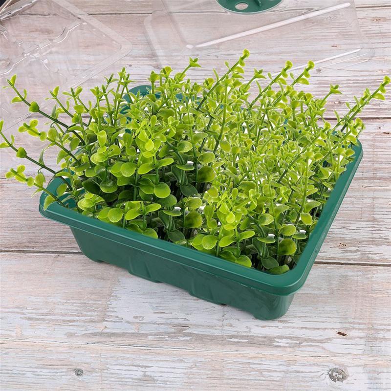 Khay nhựa 12 ngăn chuyên dụng để trồng cây