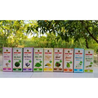 Combo 5 chai tinh dầu 10ml + đèn xông tinh dầu