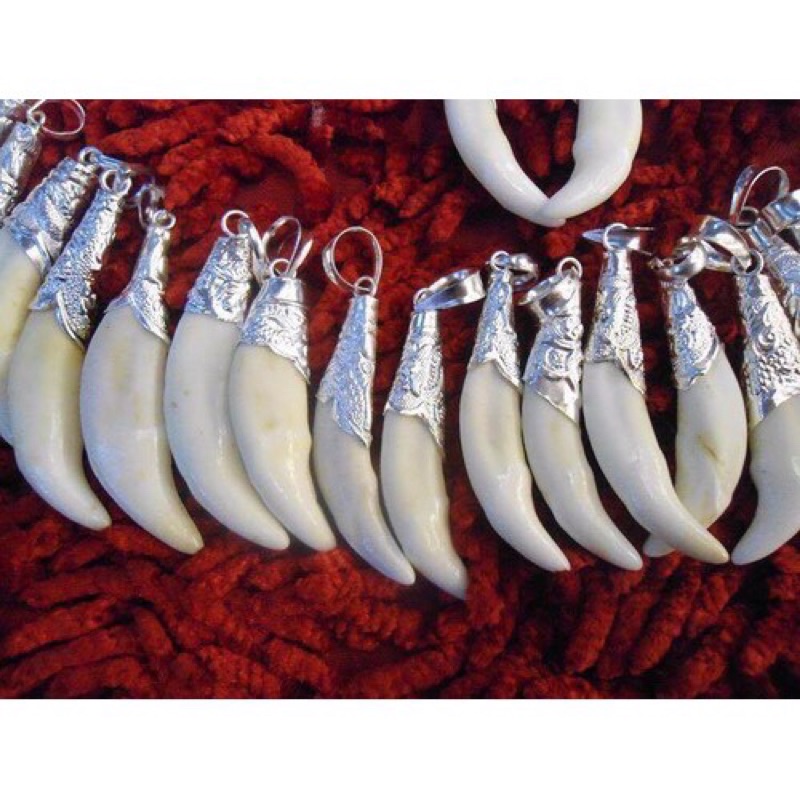 [HÀNG CHUẨN]Nanh sói bọc bạc-Kị gió tăng vía cho bé-hàng có sẵn tại HCM