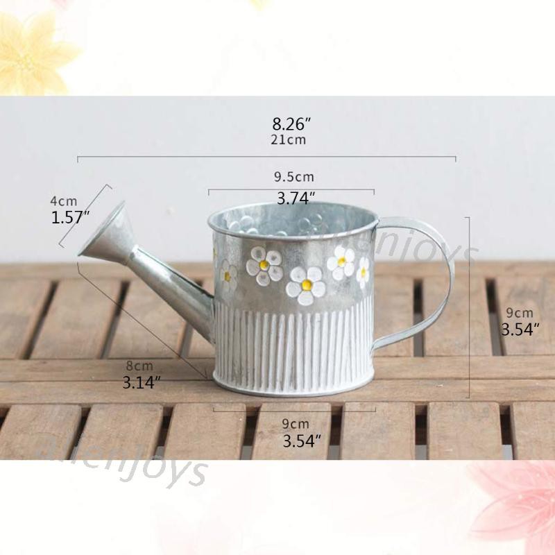 Bình Tưới Cây Bằng Sắt Tiện Lợi