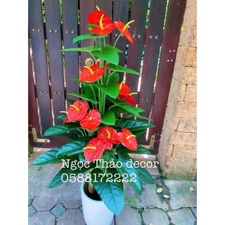 Cây hồng môn giả 1m6 - Ngọc thảo decor
