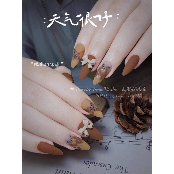 Nail box giá sinh viên