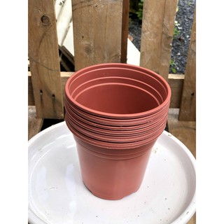 Bộ 10 chậu nhựa trồng cây kích thước fi 120 x 106 mm