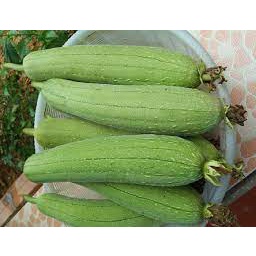 Mướp Hương  tươi ngon - giao Hỏa Tốc