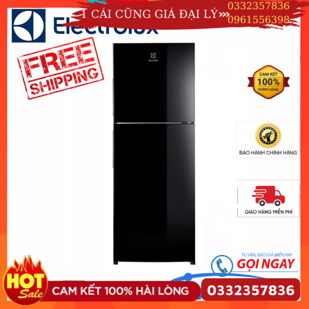 Tủ lạnh Electrolux Inverter 256L ETB2802J-H - Mới 100%