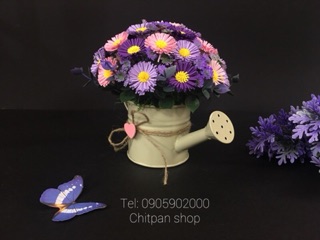 Chậu hoa thạch thảo giấy chitpan