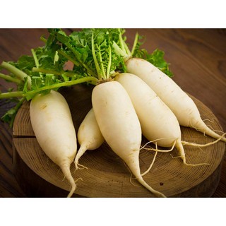 Bộ gói hạt giống Củ cải trắng