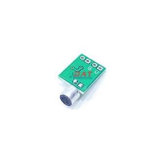 Mạch Khuếch Đại Micro Mini Kèm Mic