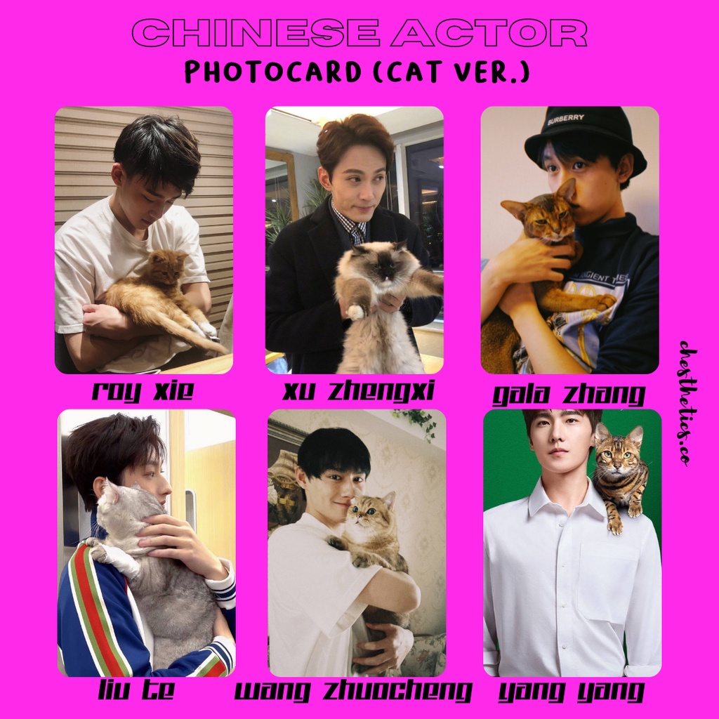 [ CHINA ACTOR ] Ảnh Card Bo Góc Diễn Viên Nam Trung Quốc - Chủ Đề MÈO [ PHOTOCARD ]