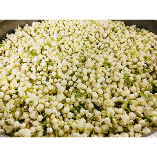 NƯỚC CẤT HOA NHÀI JASMELY