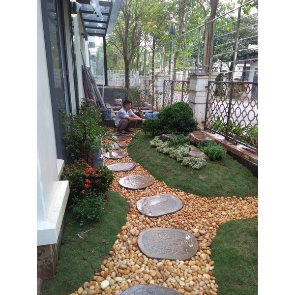 [500GRAM] Sỏi Cuội Vàng Tự Nhiên Trang Trí Sân Vườn, Hồ Cá Tép, Thuỷ Sinh