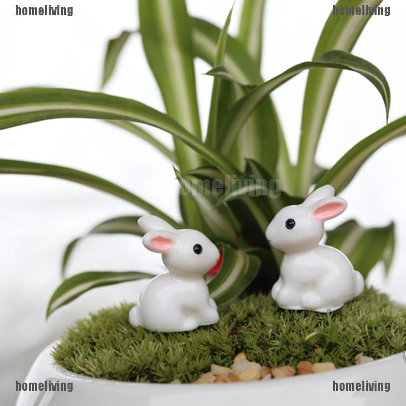 Set 2 Đồ trang trí Thỏ Mini Trang Trí Sân Vườn