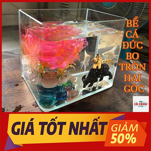 Bể Cá Cảnh Đúc Mini Để Bàn ( 20cm x 13cm x 16cm) Bo Tròn Hai Góc Cao Cấp