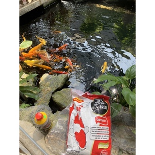 Men Vi Sinh Hồ Koi Bio Fish Koi
