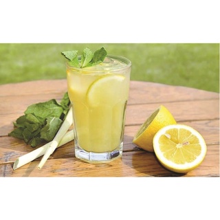 Bạc hà chanh LEMON BALM 601 (1g)