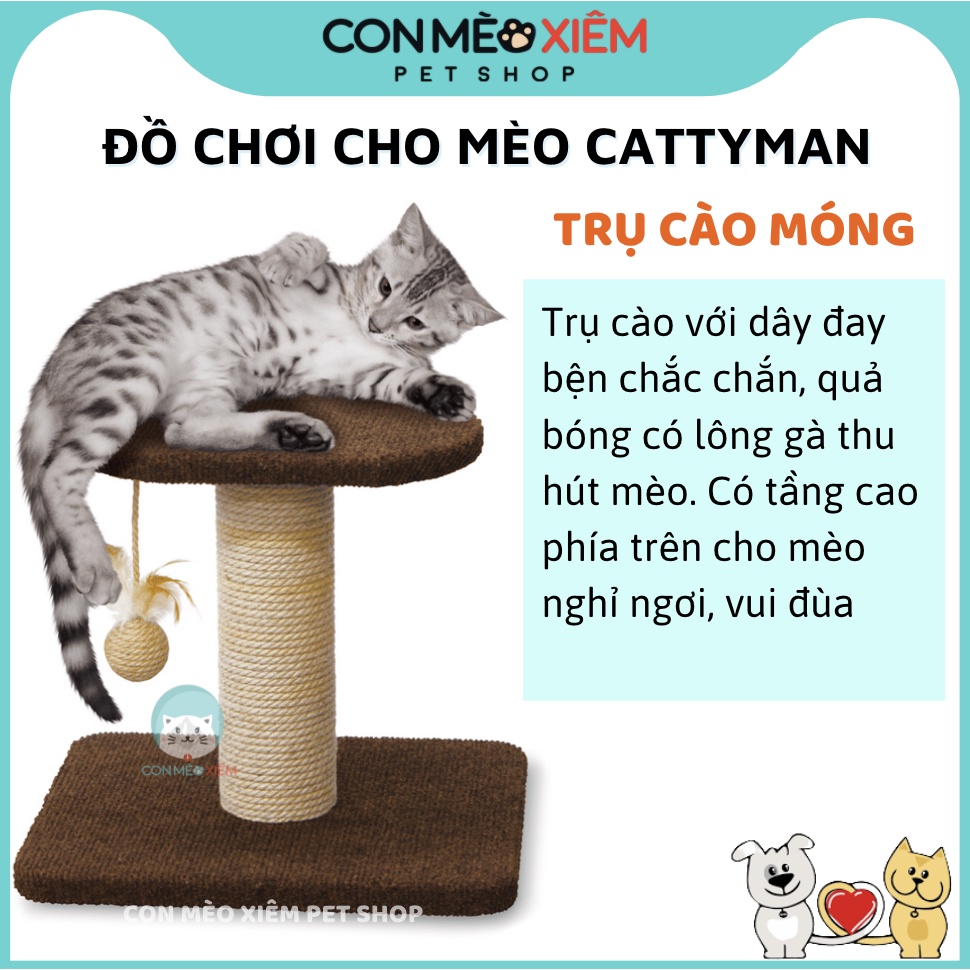 Đồ chơi cho mèo trụ cào móng Cattyman bằng gỗ tự nhiên, vòng banh đồ chơi cho thú cưng Con Mèo Xiêm