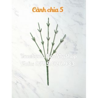 20 cành 5 nhánh, mỗi nhánh chia 5 nhánh nhỏ