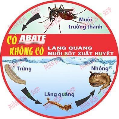 DIỆT BỌ GẬY DIỆT LĂNG QUĂNG ABATE 1SG GÓI 500G PHÒNG TRỪ MUỖI SỐT XUẤT HUYẾT, MUỖI ZIKA