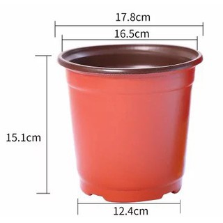Chậu nhựa mỏng size Vừa 10 cái