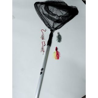 Combo vợt vớt cá và mồi nhái giả kèm lăng xe