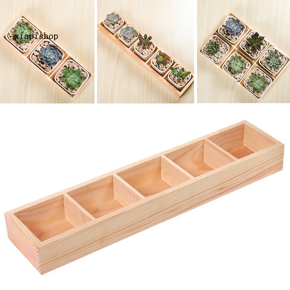 Khay gỗ trồng cây bonsai chia nhiều ngăn tiện lợi